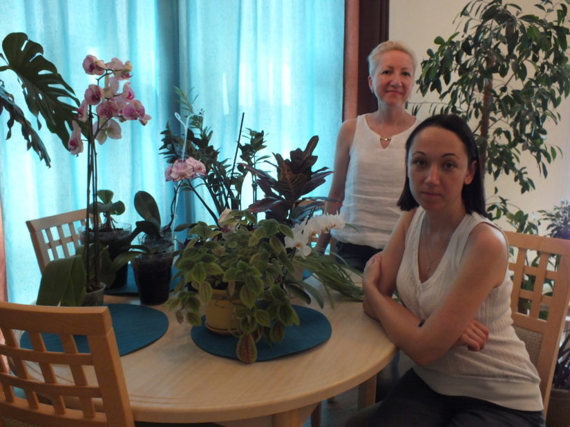 гостиница для растений
