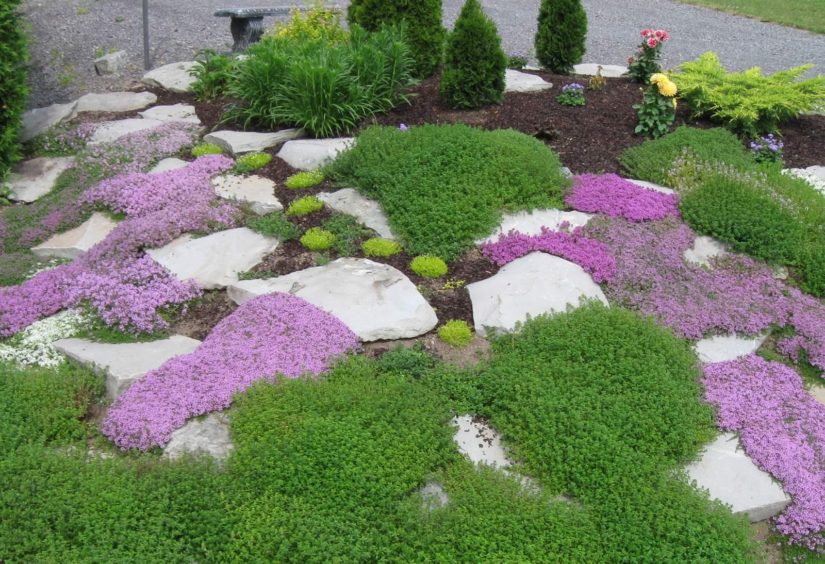 каменный сад