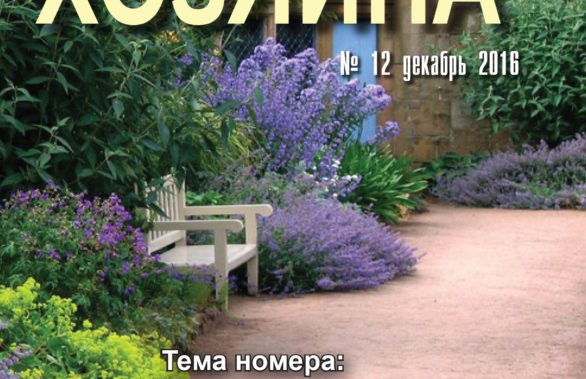 декабрь 2016 "Секреты ХОЗЯИНА"
