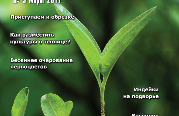 Март 2017
