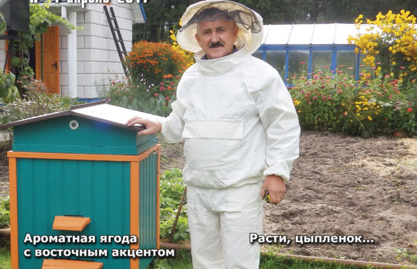 Апрель 2017