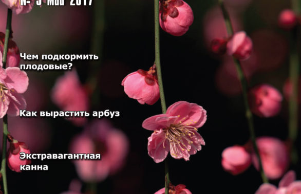 обложка "Хозяина" май 2017