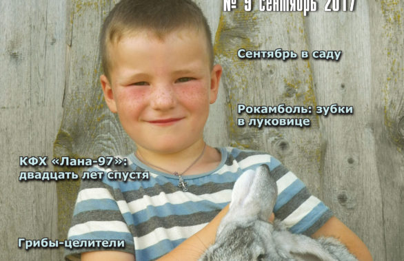 Сентябрь 2017