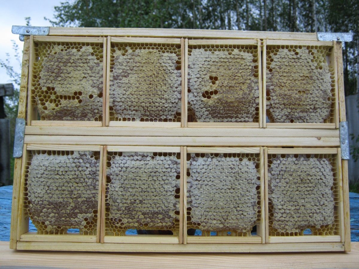 стеллажи для рамок пчелиных