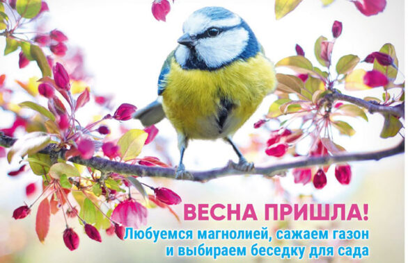 Садовый дизайн